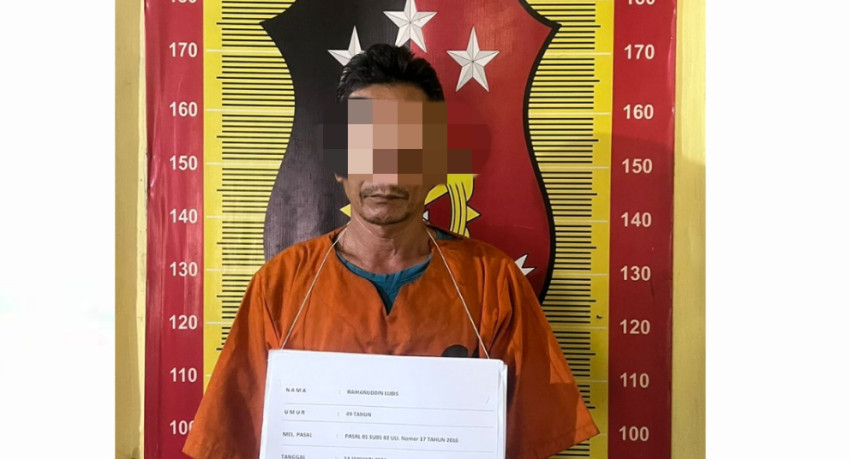 5 Kali Cabuli Anak Dibawah Umur, Pria Paruh Baya di Sidimpuan Akhirnya Dibekuk