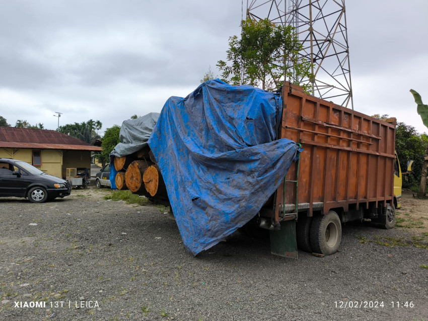 PT TPL Serahkan Dua Unit Truk bermuatan Kayu Ilegal