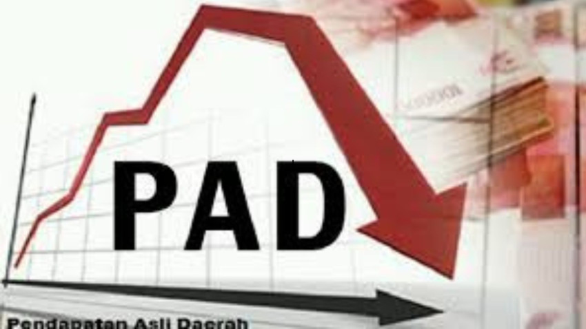 Minimnya PAD Padangsidimpuan, Retribusi Hanya Rp.2,8 Miliar (13,5%) Per-Tahun