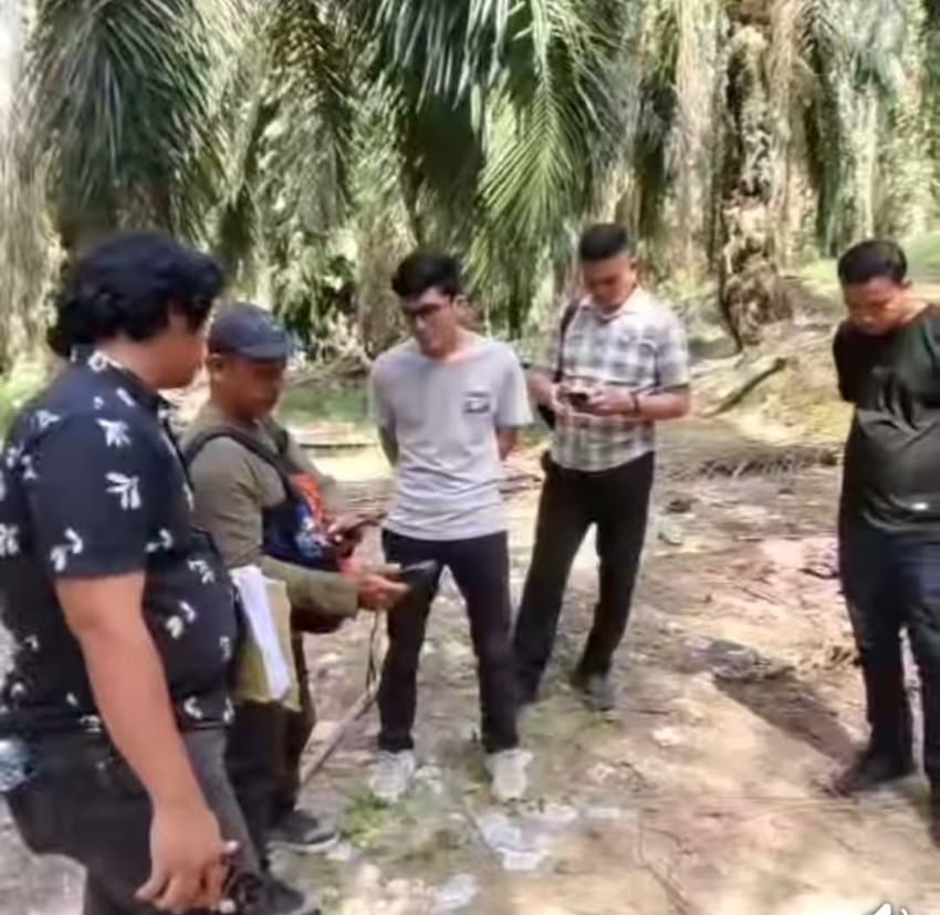 Kebun Sawit 70 Hektare di Palas Dijarah, Pemilik Lapor Polisi, Status Lahan Masih Dipersoalkan