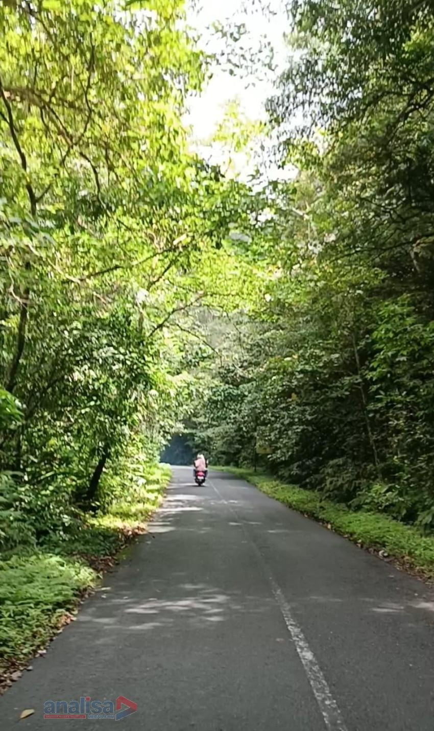 Menembus Hutan Asri Pamah Semelir: Sensasi Perjalanan dari Langkat ke Tanah Karo